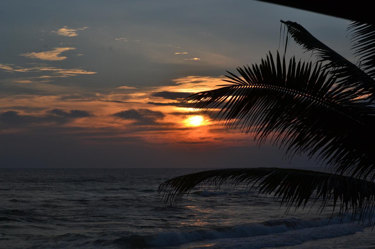 South Beach Resort Коггала Экстерьер фото